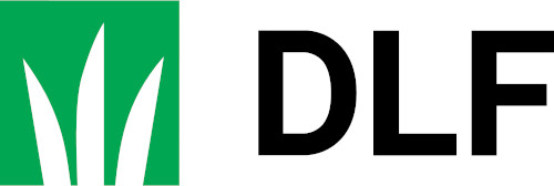 DLF