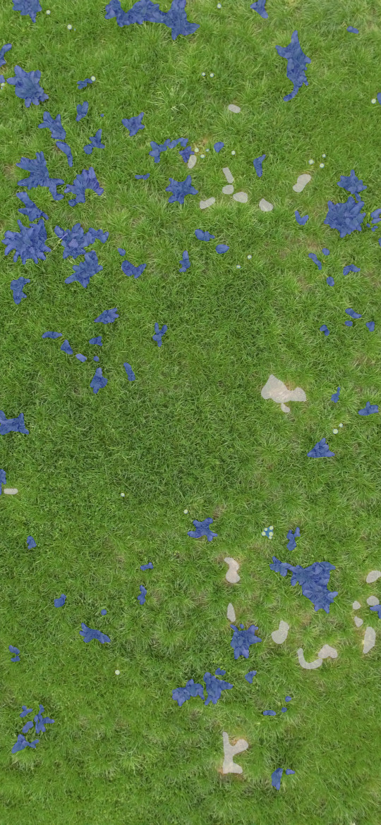 Dock on a grassfield found by CropUp